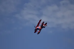 toledos-00